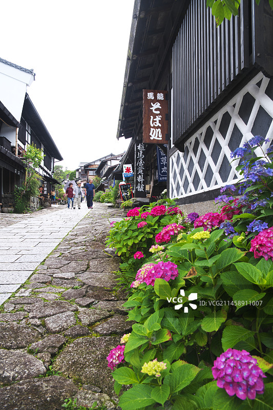日本岐阜县中津川市的马笼宿和绣球花图片素材