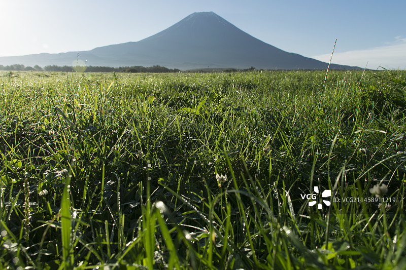 日本静冈县朝雾高原的富士山与晨曦图片素材