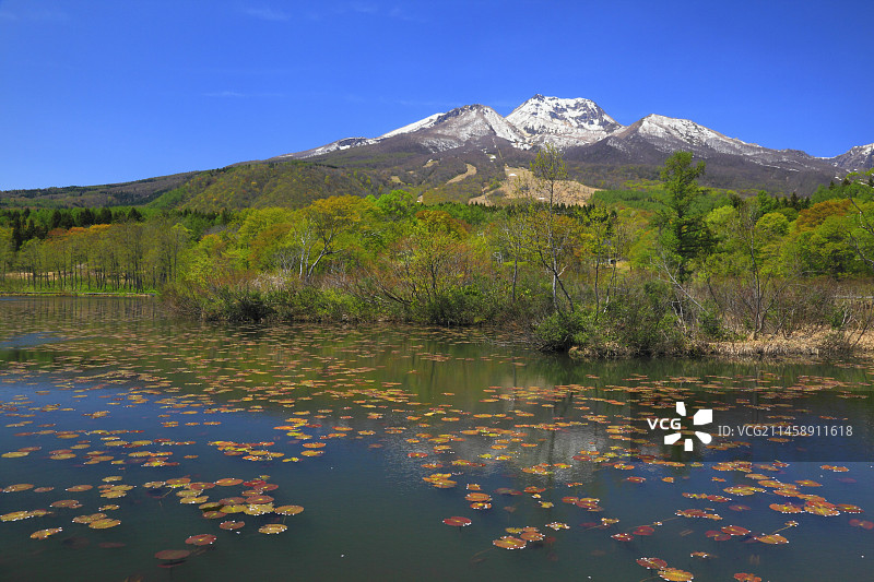 从妙高高原的伊守池看到的妙高山，日本新泻县图片素材