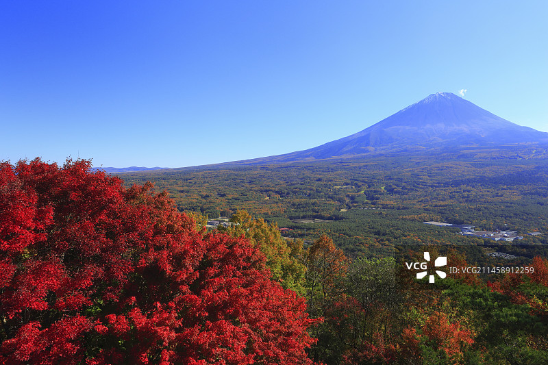 日本山梨县南都留郡富士山红叶观赏图片素材