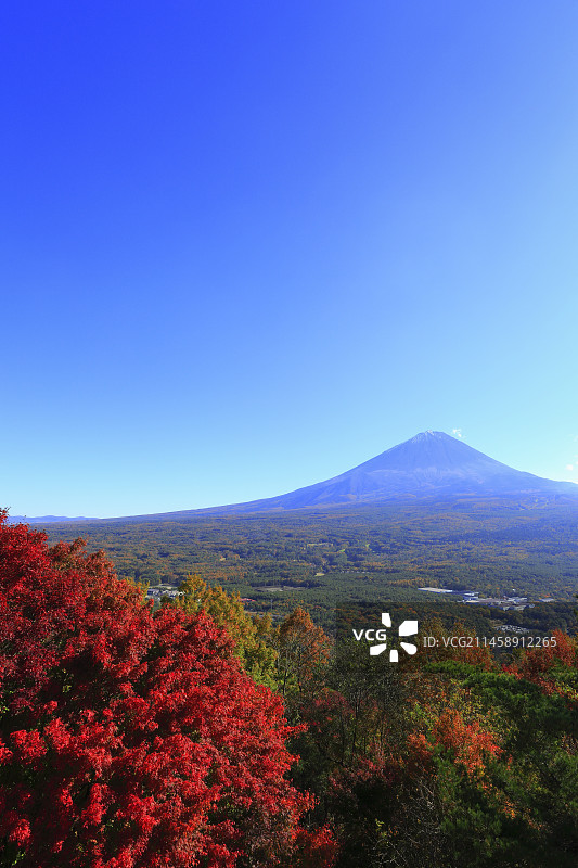 日本山梨县南都留郡富士山红叶观赏图片素材