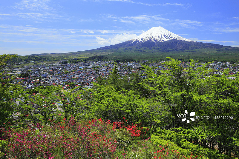 从浅间公园眺望富士山与城镇（日本山梨县富士吉田市）图片素材