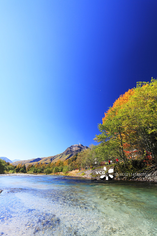 日本长野县上高地梓川和烧岳的秋叶图片素材