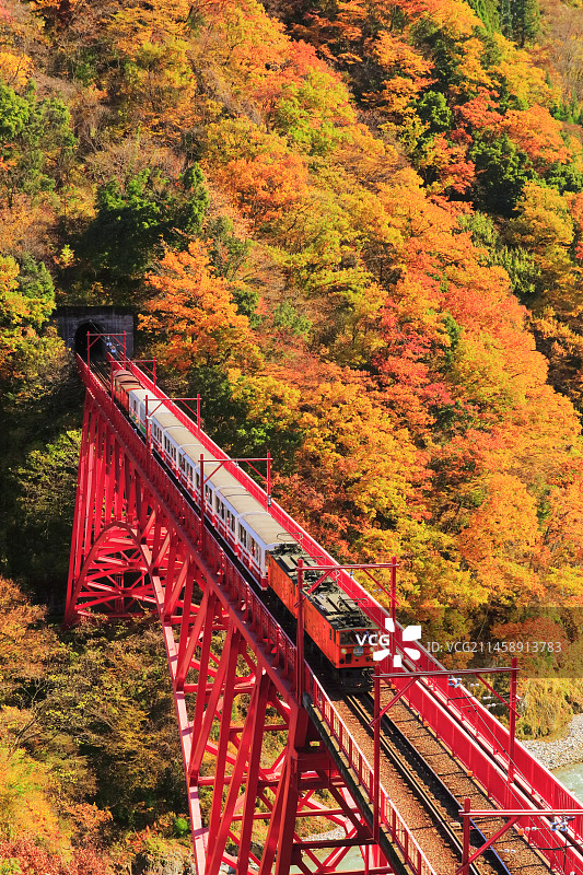日本富山县黑部峡谷铁道秋日红叶与电车图片素材
