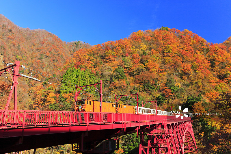 日本黑部峡谷铁路秋季红叶图片素材
