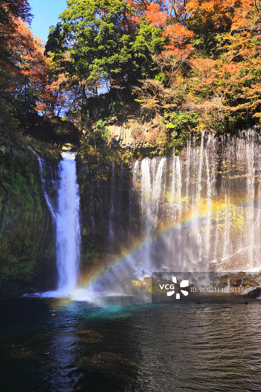 日本白丝瀑布上的秋叶和彩虹，静冈县富士宫市图片素材