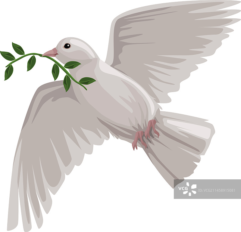 世界和平日鸽子与树枝图片素材