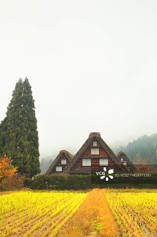 秋季日本岐阜县白川乡合掌村雾景图片素材