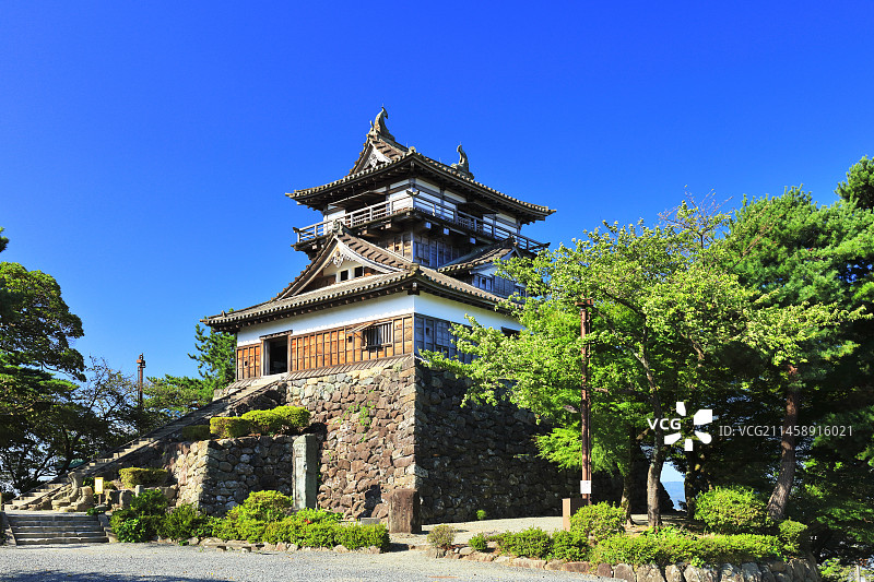 北陆丸冈城天守阁与晴朗天空，日本福井县坂井市图片素材