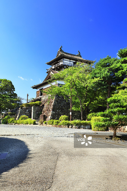 北陆丸冈城天守阁与晴朗天空，日本福井县坂井市图片素材