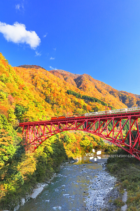 日本富山县黑部峡谷小火车秋色图片素材