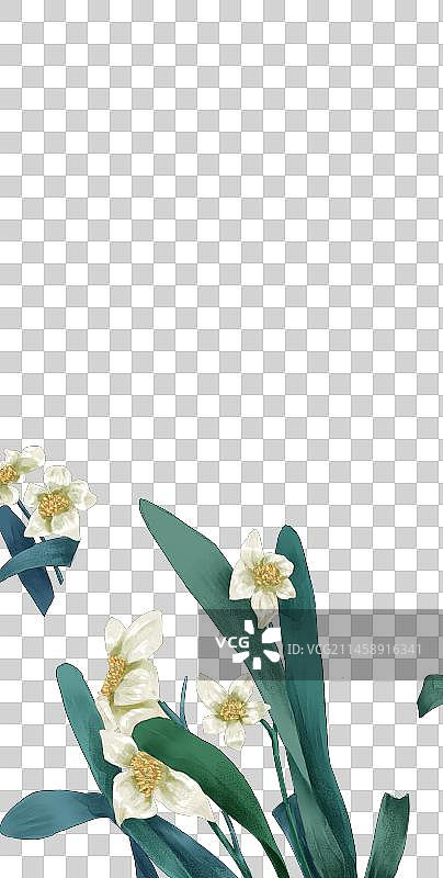 水仙花免抠素材图片素材