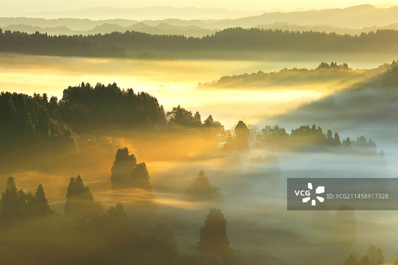 星峠梯田和云海，含山脉，日本新泻县十日町市图片素材