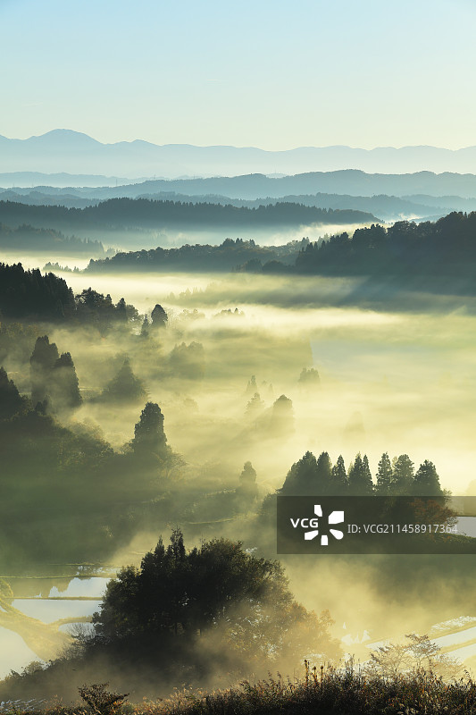 日本新泻县十日町星峠梯田云海图片素材