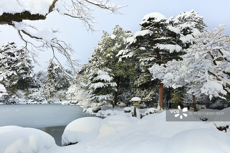 冬季日本金泽兼六园的雪景图片素材