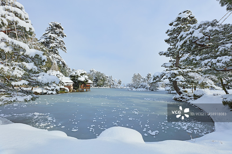 冬季日本金泽兼六园的雪景图片素材