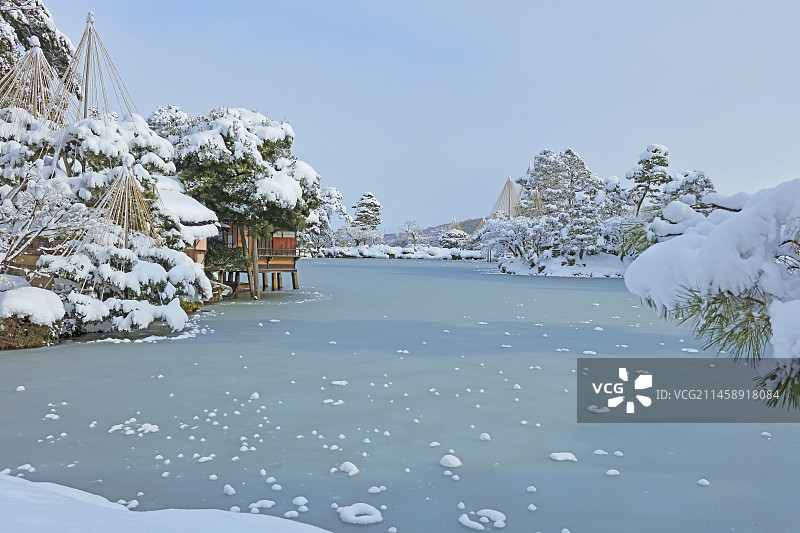 冬季日本金泽兼六园的雪景图片素材