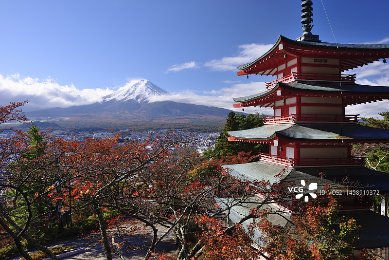 日本山梨县新仓山浅间公园的富士山和秋叶图片素材