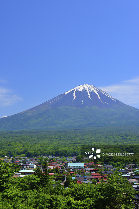 初夏时节从鸣泽村看到的富士山（日本山梨县南都留郡鸣泽村）图片素材