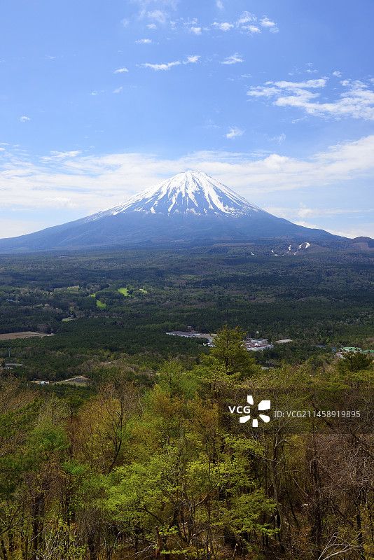 日本山梨县红叶台，初夏的富士山图片素材