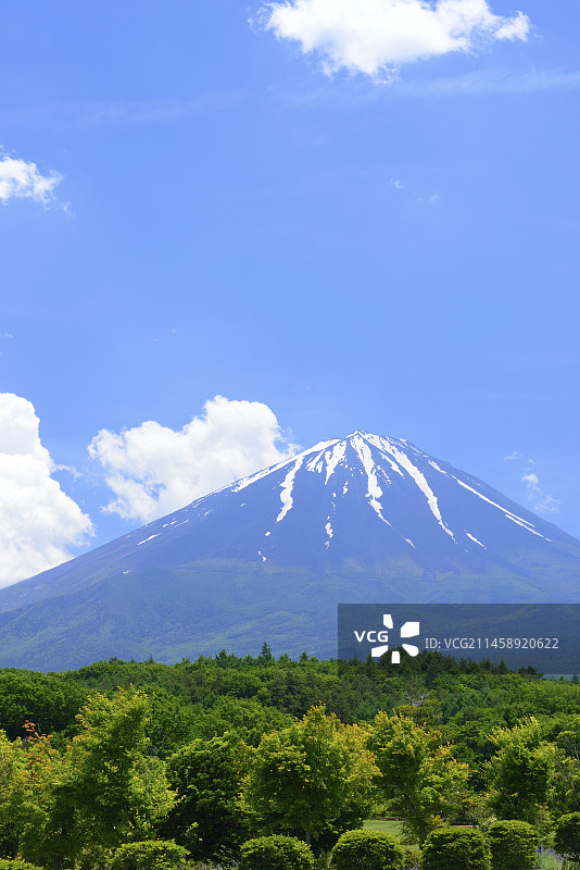 日本山梨县鸣泽村新绿初夏的富士山图片素材