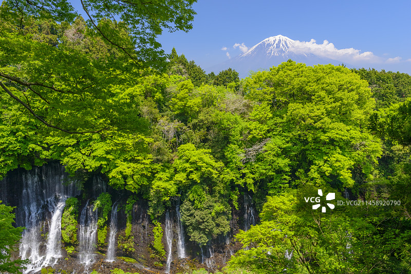 日本静冈县白丝瀑布与富士山图片素材