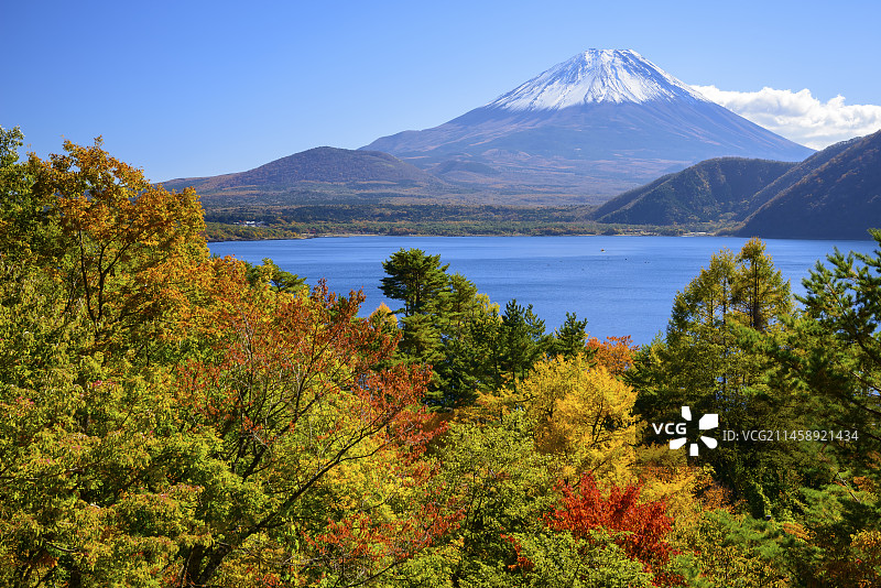 秋季日本山梨县本栖湖的富士山图片素材