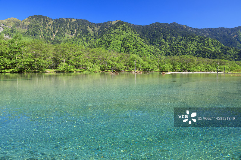 日本长野县上高地的大正池图片素材