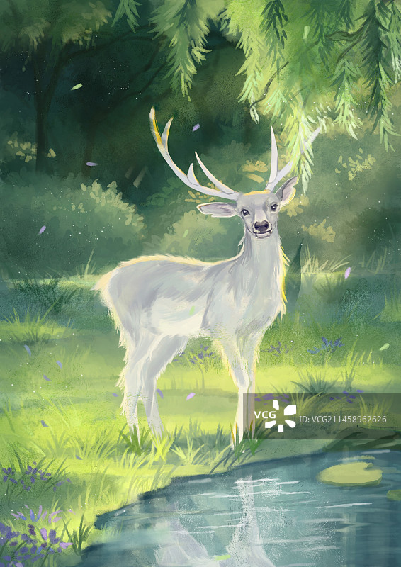 林中鹿图片素材