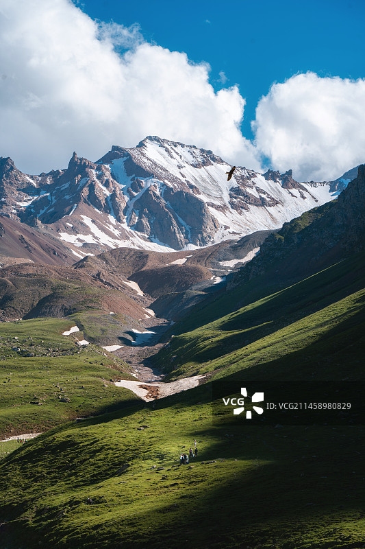 那拉提雪莲谷图片素材