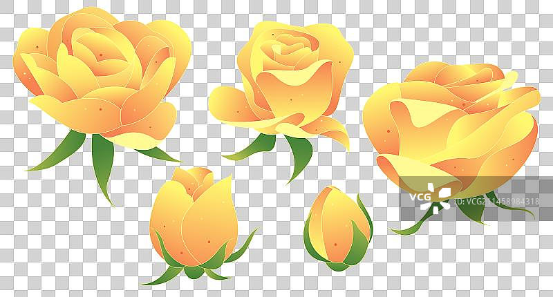 二十四节气秋分美食花卉月季花玫瑰花矢量元素图片素材