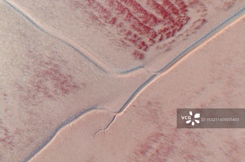 航拍夕阳下的红滩湿地图片素材