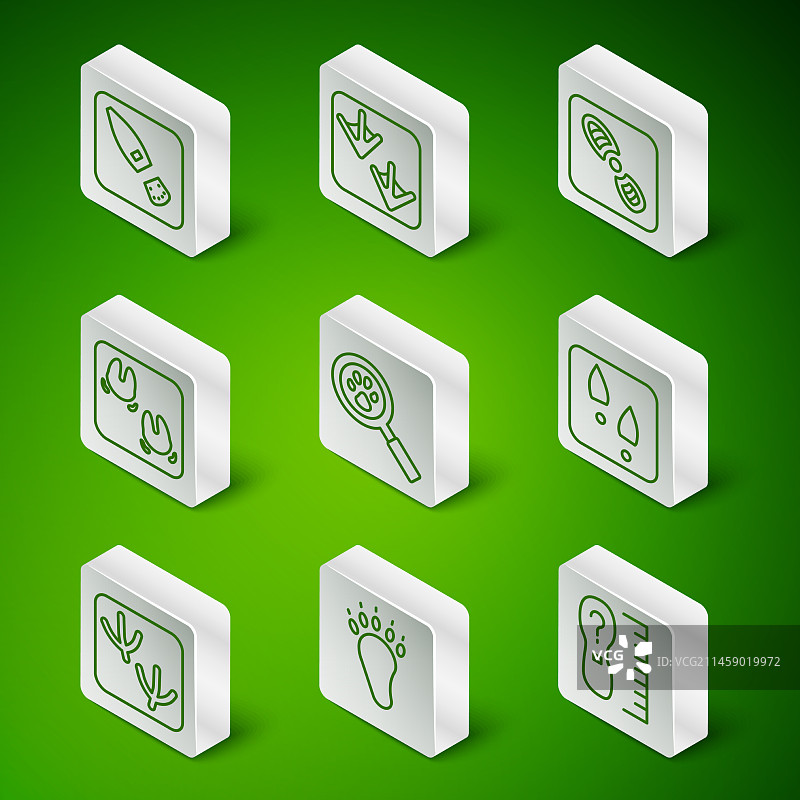 方形测量脚尺寸熊掌图片素材