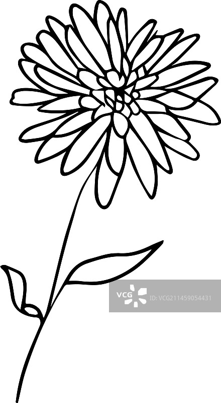 简约小雏菊纹身图片素材