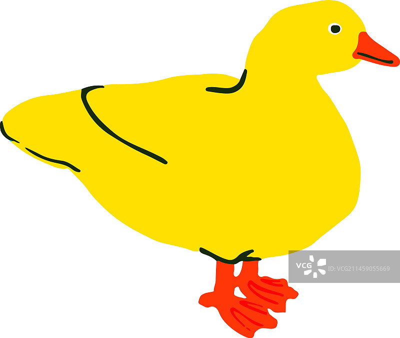 鸭子文件素材图片素材