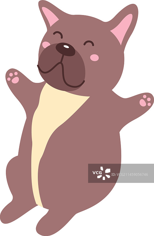 斗牛犬宠物图片素材