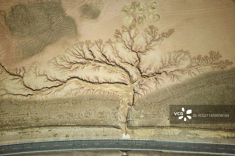 西藏那曲天空之树图片素材