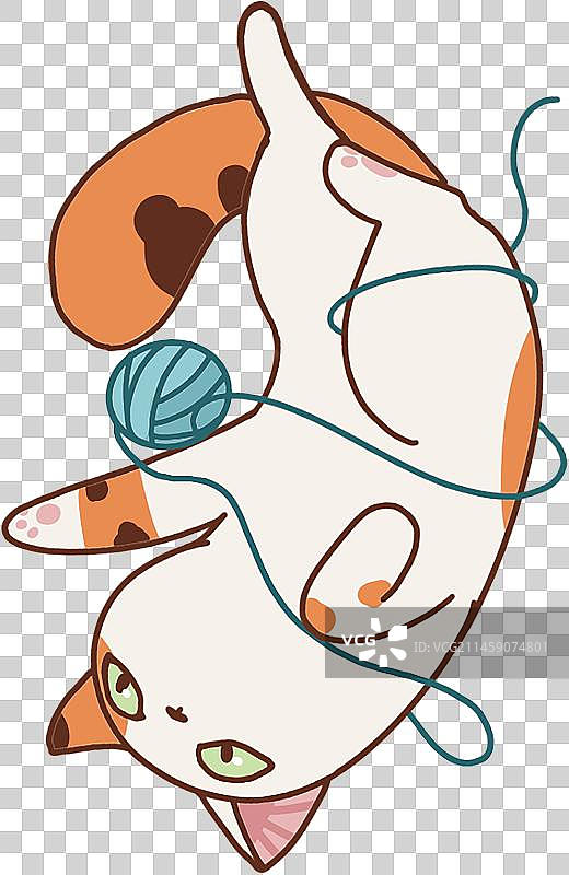 与毛线翻滚的三花猫咪图片素材