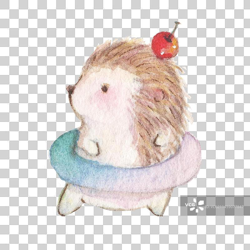 水彩手绘一个可爱的游泳圈呼啦圈刺猬宝宝幼崽图片素材