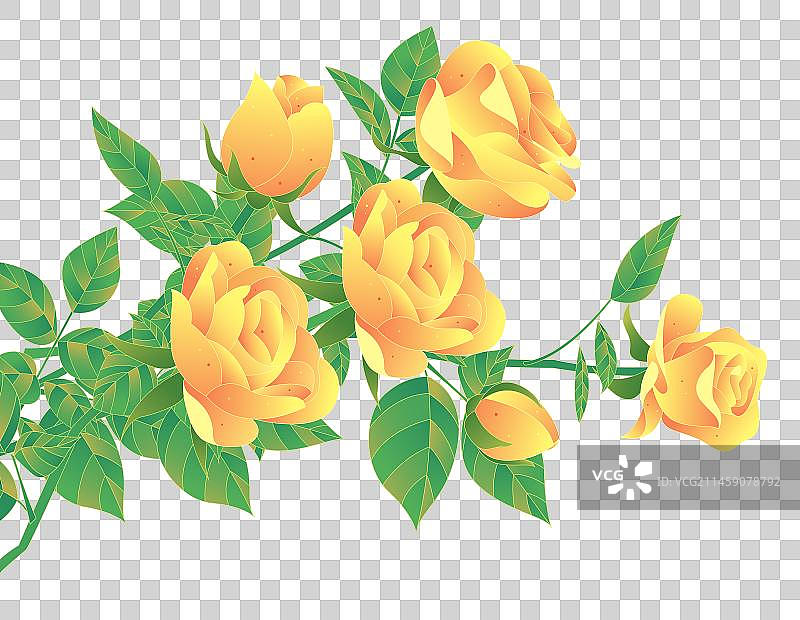 二十四节气秋分美食花卉月季花玫瑰花矢量元素图片素材