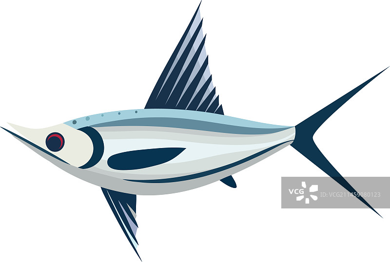 蓝色马林鱼动物香料图片素材