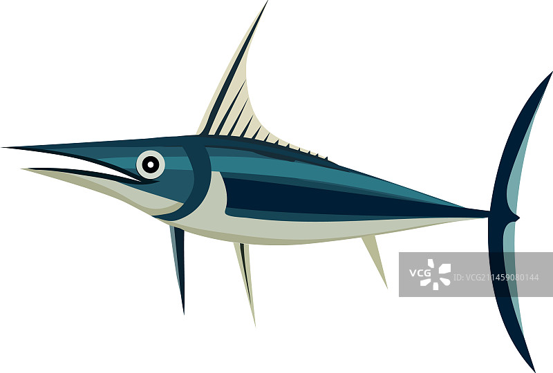 异域野生箭鱼图片素材