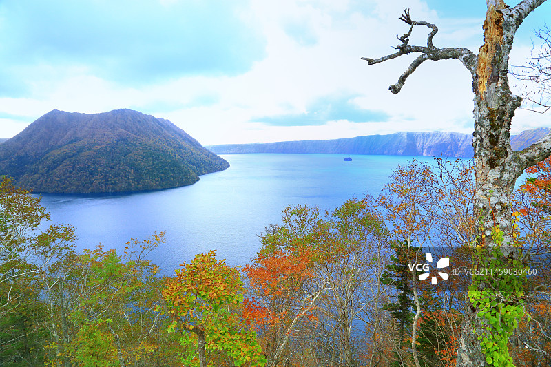 日本北海道摩周湖畔的秋叶图片素材