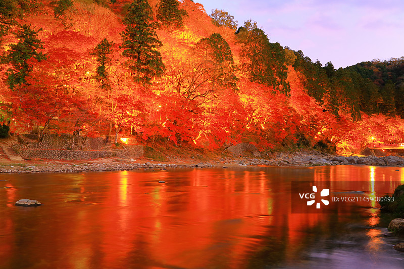 日本爱知县香岚溪峡谷秋叶灯光图片素材
