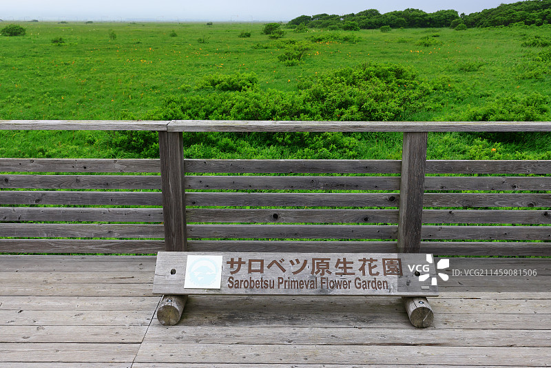 日本北海道佐吕别原生花园图片素材