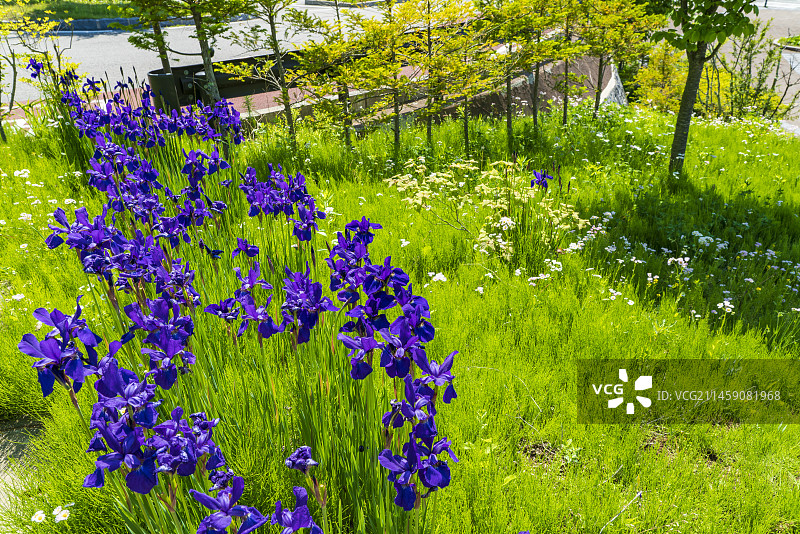 山梨县北杜市清里高原车站，日本图片素材