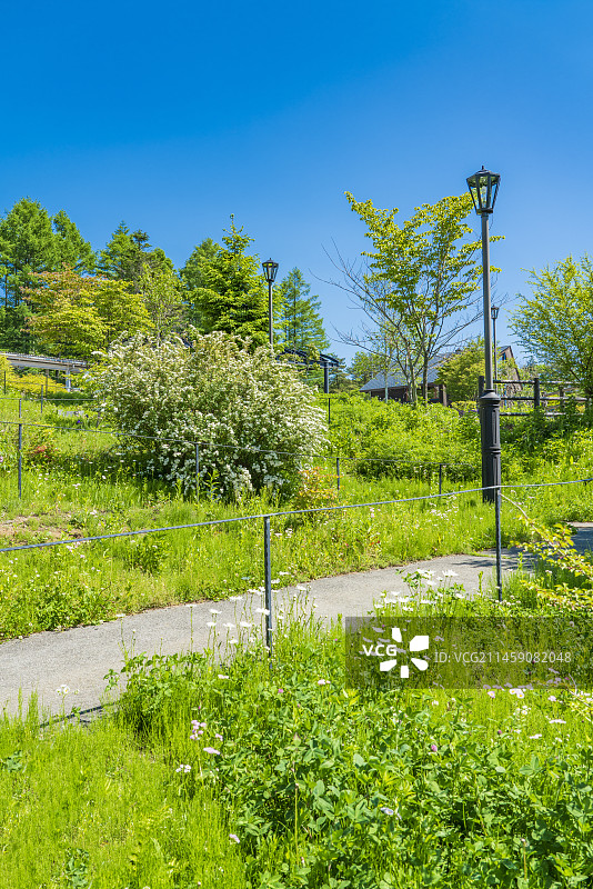 山梨县北杜市清里高原车站，日本图片素材