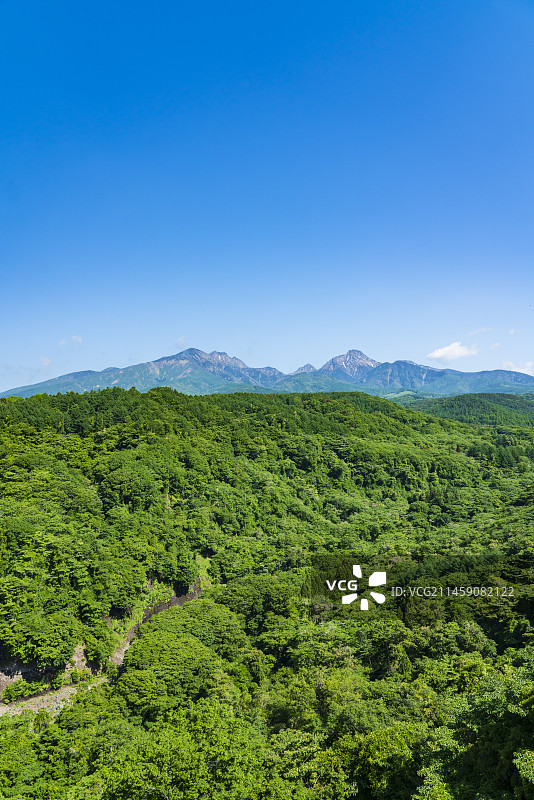 日本山梨县八岳高原大桥壮观景色图片素材