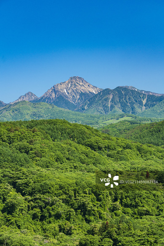 日本山梨县八岳高原大桥壮观景色图片素材
