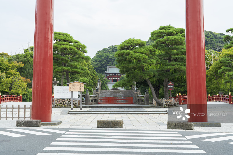 日本鹤冈八幡宫，神奈川县镰仓市图片素材